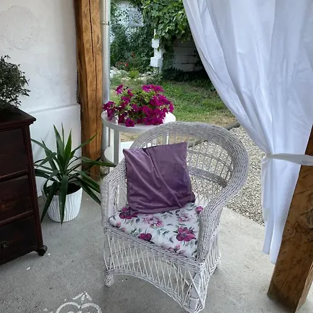 Bela Villa Negotin