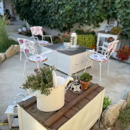 Bela Negotin