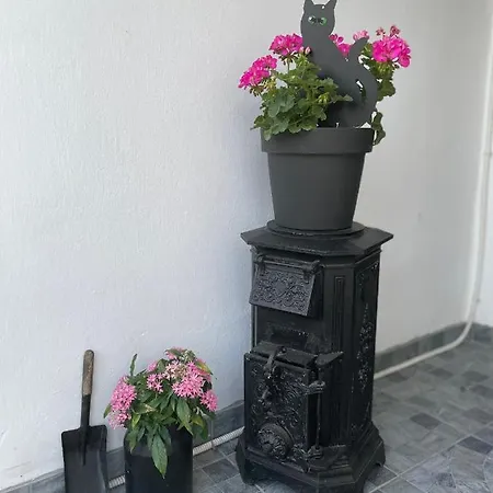 Villa Bela Negotin
