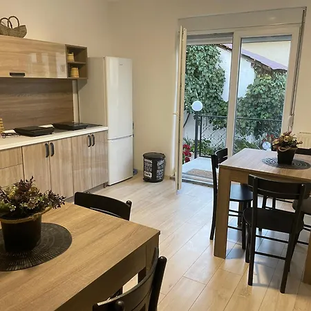 Bela Villa Negotin