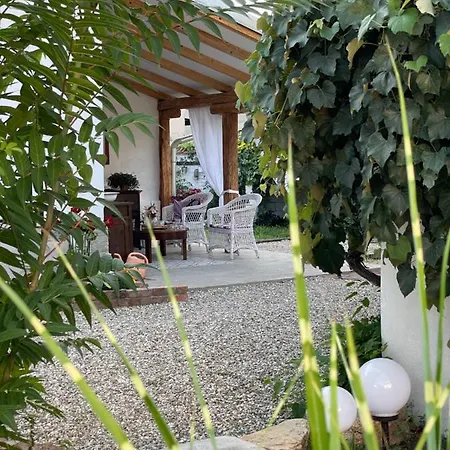 Villa Bela Negotin