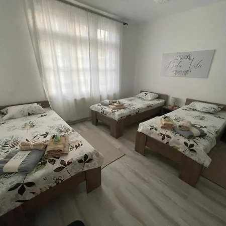 Bela Negotin