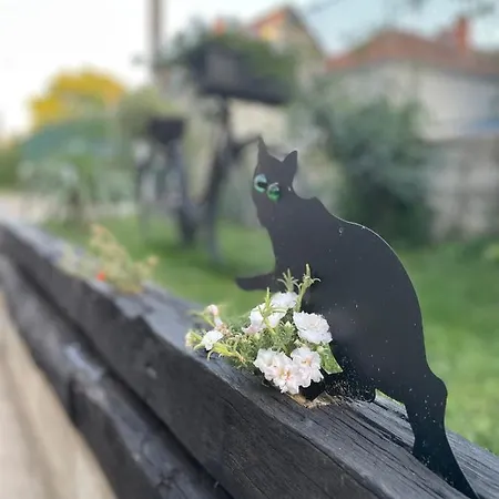 Bela Villa *